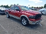 1D3HB13T29S****** Salvamento y Destrozados 2009 Dodge Ram 1500 en Memphis