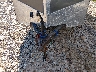 56VBE1420JM****** Repairable 2018 RC Trailers Other