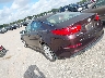 5XXGN4A79EG****** Salvamento y Reparables 2014 Kia Optima en Houston