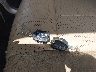 1FTFW1ET7DK****** Salvamento 2013 Ford F-150 en Estado de Florida