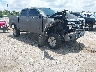 1FTFW1ET7DK****** Salvamento y Destrozados 2013 Ford F-150 en Tampa North