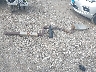 1B3EL46R15N****** Destrozados 2005 Dodge Stratus en Estado de Iowa