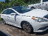 5NPEC4ACXEH****** Reparables 2014 Hyundai Sonata en Estado de Luisiana