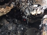 JTMYFREV5JJ****** Salvage 2018 Toyota RAV4 in Florida State