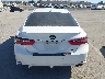 4T1G11AK4MU****** Destrozados 2021 Toyota Camry