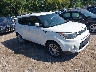 KNDJP3A55J7****** Salvamento y Destrozados 2018 Kia Soul en Indianapolis
