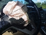 5J6RE3H78AL****** Salvamento 2010 Honda CR-V en Estado de Luisiana