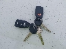 KNAFE222695****** Salvage 2009 Kia Spectra in Washington State