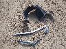 3N1CN7AP1GL****** Wrecked 2016 Nissan Versa in Florida State