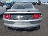 1FA6P8THXF5****** Usados 2015 Ford Mustang