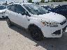 1FMCU0GX1EU****** Salvamento y Destrozados 2014 Ford Escape en Houston South