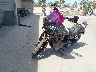 1HD1GXM39GC****** Used and Repairable 2016 Harley-Davidson Dyna Street Bob in North Hollywood