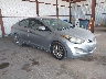 5NPDH4AE0GH****** Salvage and Wrecked 2016 Hyundai Elantra in Fort Pierce