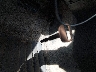 JT2BG22K7Y0****** Salvage 2000 Toyota Camry in Colorado State