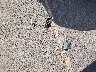 JT2BG22K7Y0****** Wrecked 2000 Toyota Camry in Colorado State