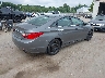 5NPEC4AB0DH****** Salvage and Wrecked 2013 Hyundai Sonata in New Hampshire State