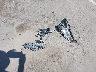 JN1EV7AP8KM****** Destrozados 2019 Infiniti Q50 en Estado de Arizona