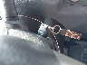 JN8AS5MT8EW****** Salvamento 2014 Nissan Rogue en Estado de Texas