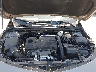 1G1ZD5ST5RF****** Repairable 2024 Chevrolet Malibu in Austin North