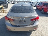 5NPDH4AE9GH****** Usados 2016 Hyundai Elantra