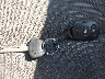 KMHCT5AE8DU****** Salvage 2013 Hyundai Accent in New York State