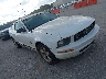 1ZVFT80N775****** Salvamento y Destrozados 2007 Ford Mustang en Houston