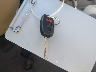 2HGFA16529H****** Salvage 2009 Honda Civic in California State