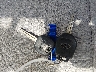 JF2SJAEC2EH****** Salvage 2014 Subaru Forester in New Jersey State