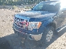 1FTFW1EV6AF****** Salvamento y Reparables 2010 Ford F-150 en Estado de Utah