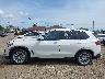 5UXCR6C51KL****** Salvamento 2019 BMW X5