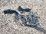 5UXCR6C51KL****** Destrozados 2019 BMW X5 en Estado de Nueva York