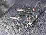 1C4BJWDG6GL****** Salvamento 2016 Jeep Wrangler en Estado de Virginia
