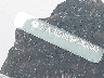7SAYGDEE0PA****** Repairable 2023 Tesla Model Y