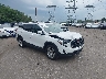 3GKALTEV0KL****** Salvamento y Destrozados 2019 GMC Terrain en Bridgeport