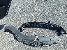5XXGT4L38LG****** Wrecked 2020 Kia Optima in Georgia State