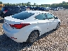 5NPDH4AE9GH****** Salvage and Wrecked 2016 Hyundai Elantra in Illinois State