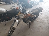 CT103**** Usados y Reparables 1971 Yamaha Qt50 en Chattanooga
