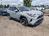 2T3P1RFV6NW****** Salvamento y Destrozados 2022 Toyota RAV4 en Detroit