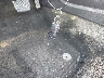 1FA6P0H78E5****** Salvamento 2014 Ford Fusion en Estado de Ohio