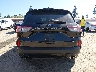 1FMCU9G60MU****** Wrecked 2021 Ford Escape
