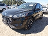 1FMCU9G60MU****** Used and Repairable 2021 Ford Escape in Seattle