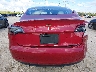 5YJ3E1EA2PF****** Destrozados 2023 Tesla Model 3