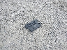 3N1AB6AP2AL****** Wrecked 2010 Nissan Sentra in Ohio State
