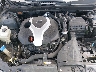 5NPEC4AB5EH****** Repairable 2014 Hyundai Sonata in Raleigh