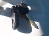 2HKYF18613H****** Salvage 2003 Honda Pilot in New Jersey State