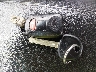 5NPEB4AC9CH****** Salvamento 2012 Hyundai Sonata en Estado de Kentucky