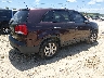 5XYKT3A15DG****** Salvage and Wrecked 2013 Kia Sorento in Florida State