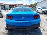 1FA6P8CF3R5****** Usados 2024 Ford Mustang