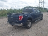 1FTFW1EF5DF****** Salvage and Wrecked 2013 Ford F-150 in Pennsylvania State
