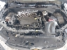 KL79MMS29NB****** Repairable 2022 Chevrolet Trailblazer in Orlando North
